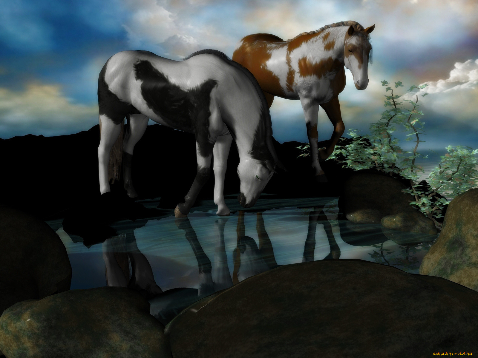 3, , animals, , , 